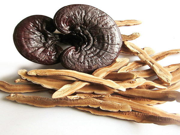 Ganoderma lucidum